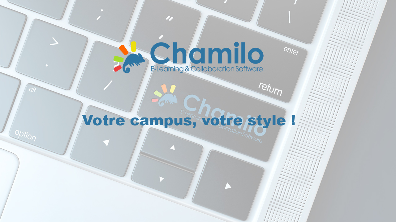 Cómo personalizar tu campus virtual con Chamilo LMS