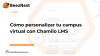Cómo personalizar tu campus virtual con Chamilo LMS